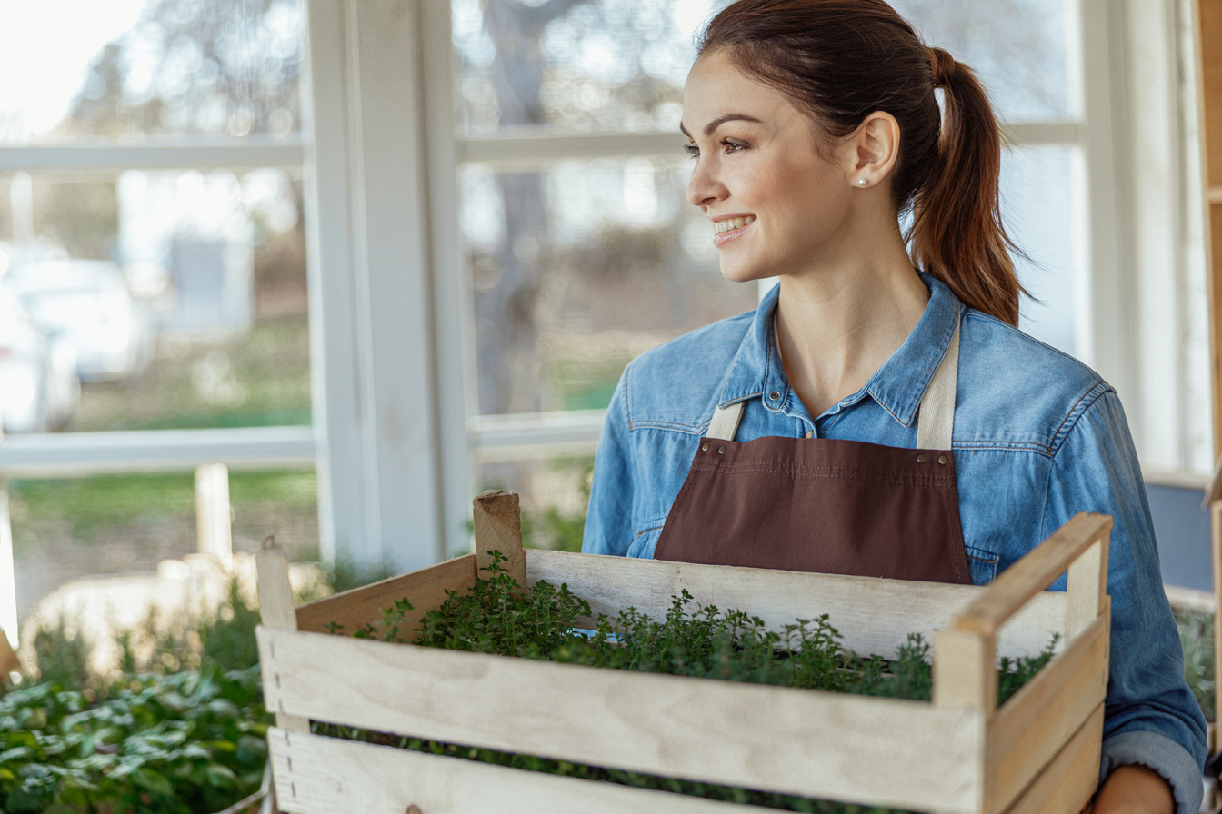 Horticulturist with green seedlings in a herbal shop